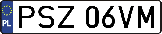 PSZ06VM