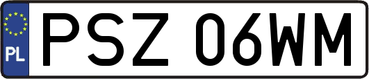 PSZ06WM