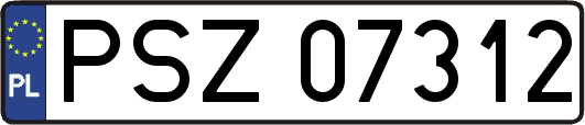 PSZ07312