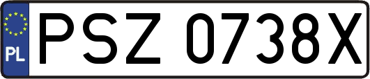 PSZ0738X