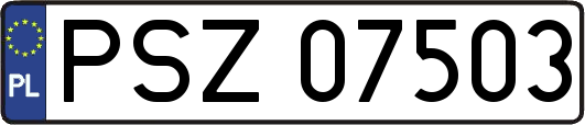 PSZ07503