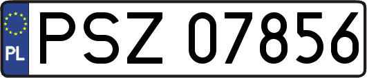 PSZ07856