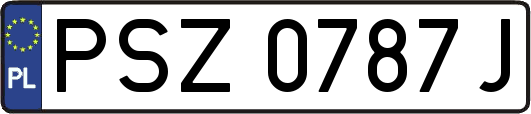 PSZ0787J