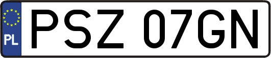 PSZ07GN