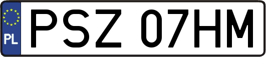 PSZ07HM