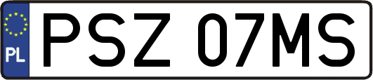 PSZ07MS