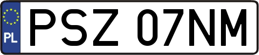 PSZ07NM