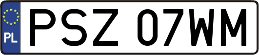 PSZ07WM