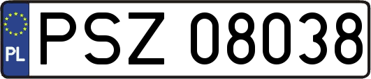 PSZ08038