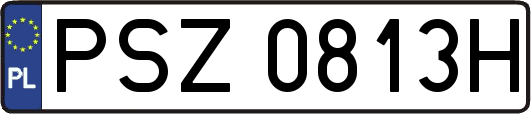 PSZ0813H