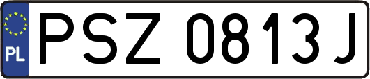 PSZ0813J
