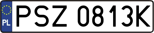 PSZ0813K