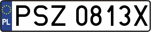 PSZ0813X