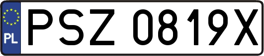 PSZ0819X