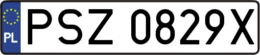 PSZ0829X