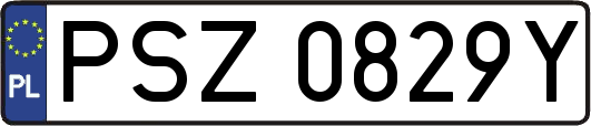PSZ0829Y