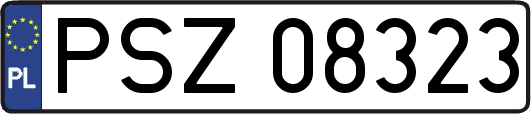 PSZ08323
