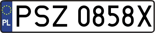 PSZ0858X