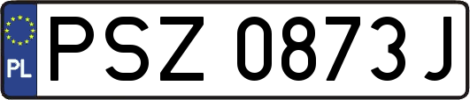 PSZ0873J