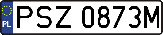 PSZ0873M