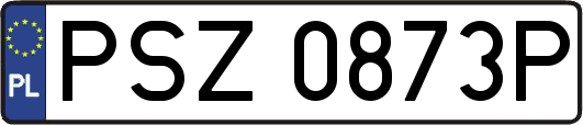 PSZ0873P