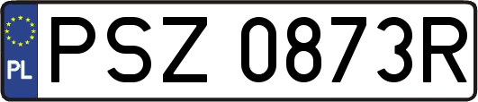 PSZ0873R