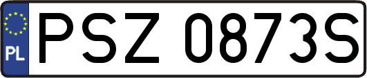 PSZ0873S