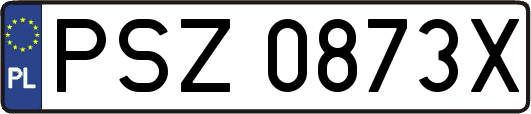 PSZ0873X