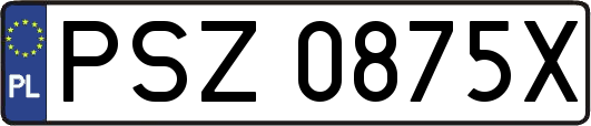 PSZ0875X
