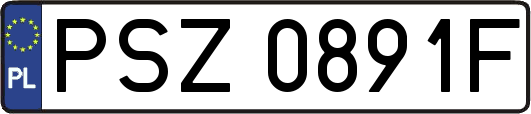 PSZ0891F