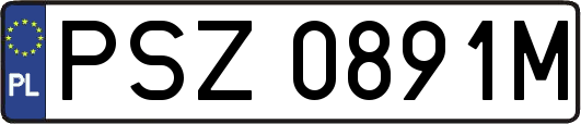 PSZ0891M
