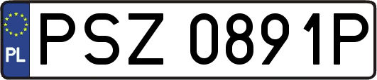 PSZ0891P