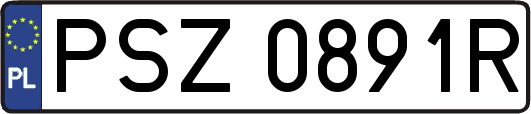 PSZ0891R