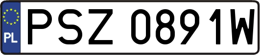 PSZ0891W