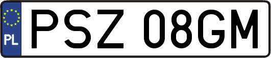 PSZ08GM