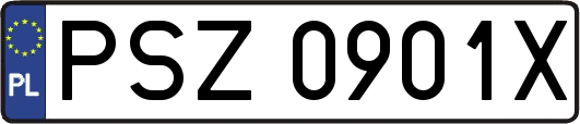 PSZ0901X