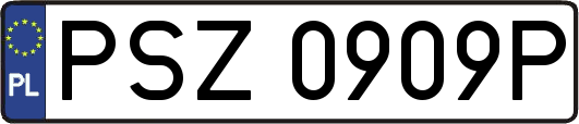 PSZ0909P