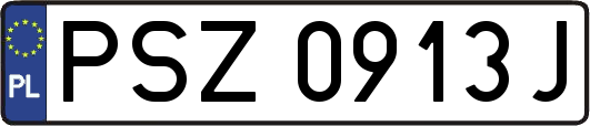PSZ0913J