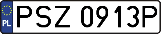 PSZ0913P