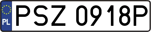 PSZ0918P