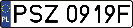PSZ0919F