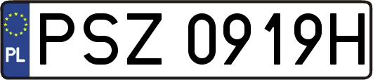 PSZ0919H