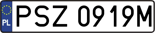 PSZ0919M