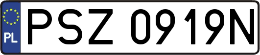PSZ0919N