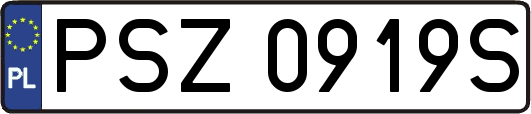 PSZ0919S