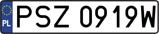 PSZ0919W