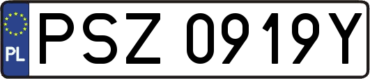 PSZ0919Y