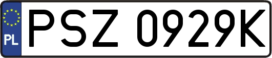 PSZ0929K