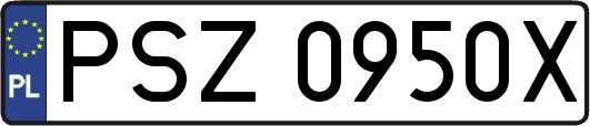 PSZ0950X