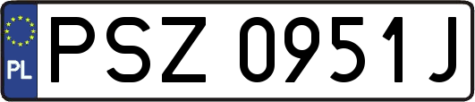 PSZ0951J